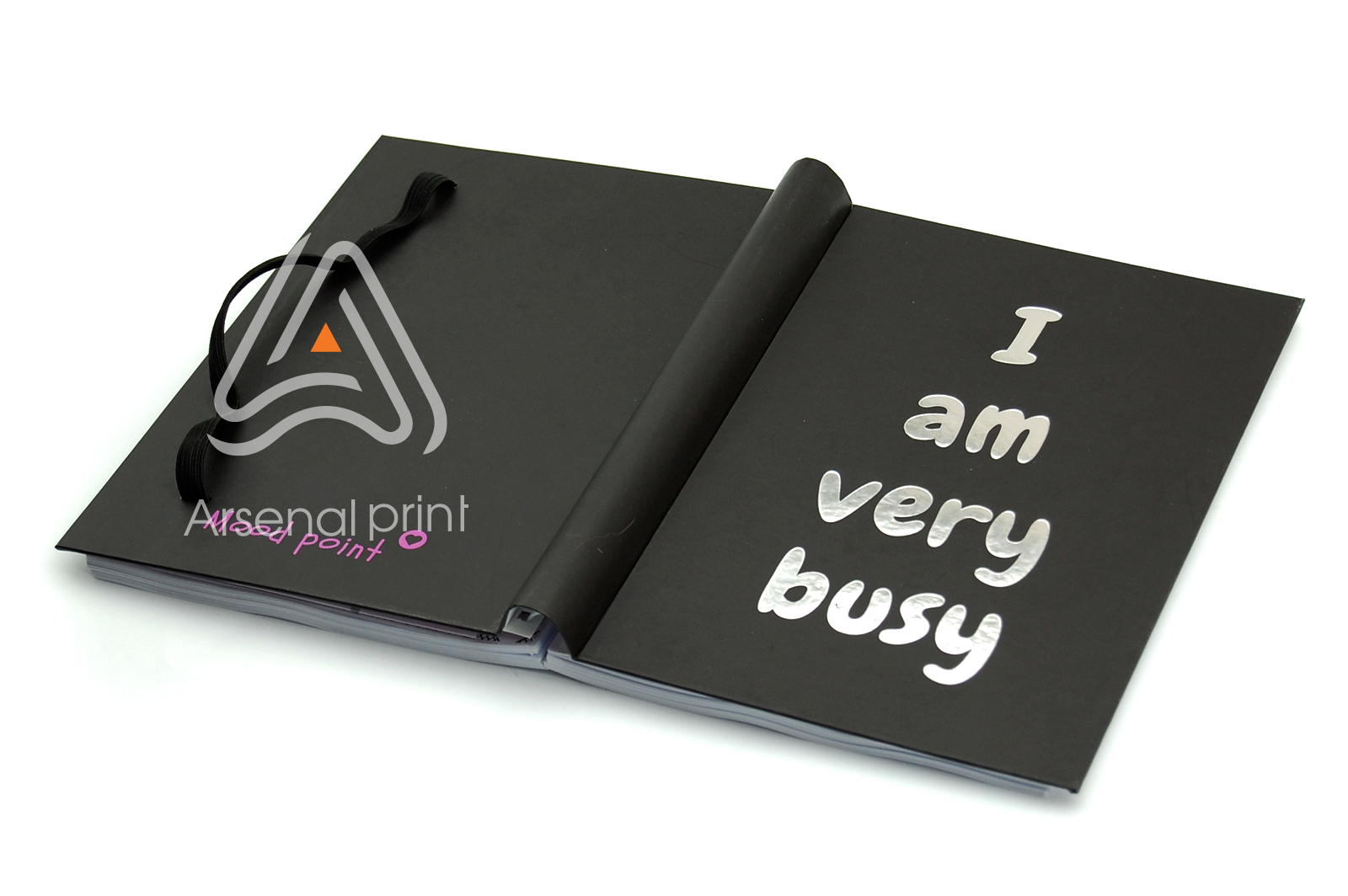 bloknot-prugina-skritaya