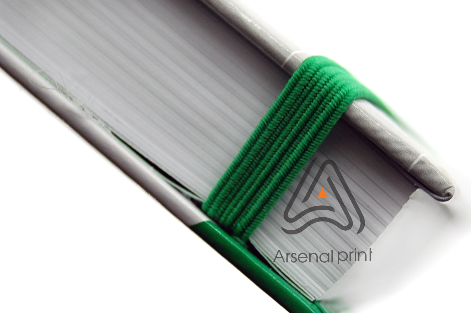 egednevnik-s-resinkoy