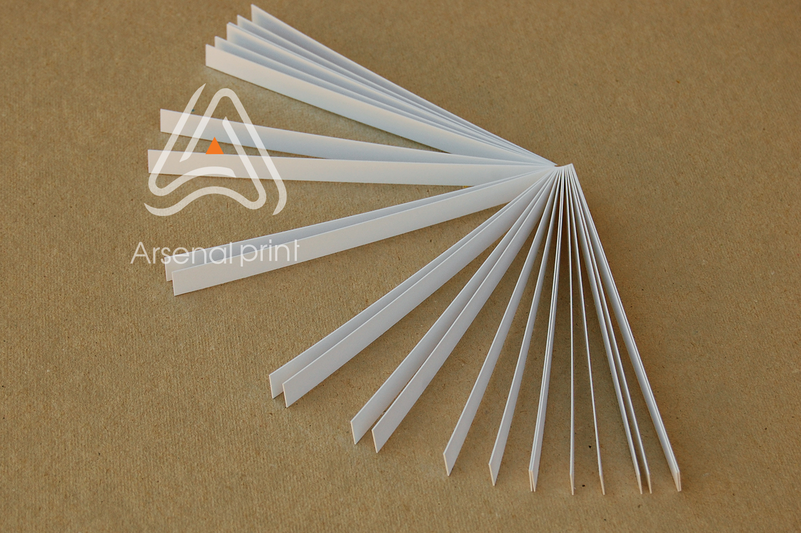 testery blottery kupit