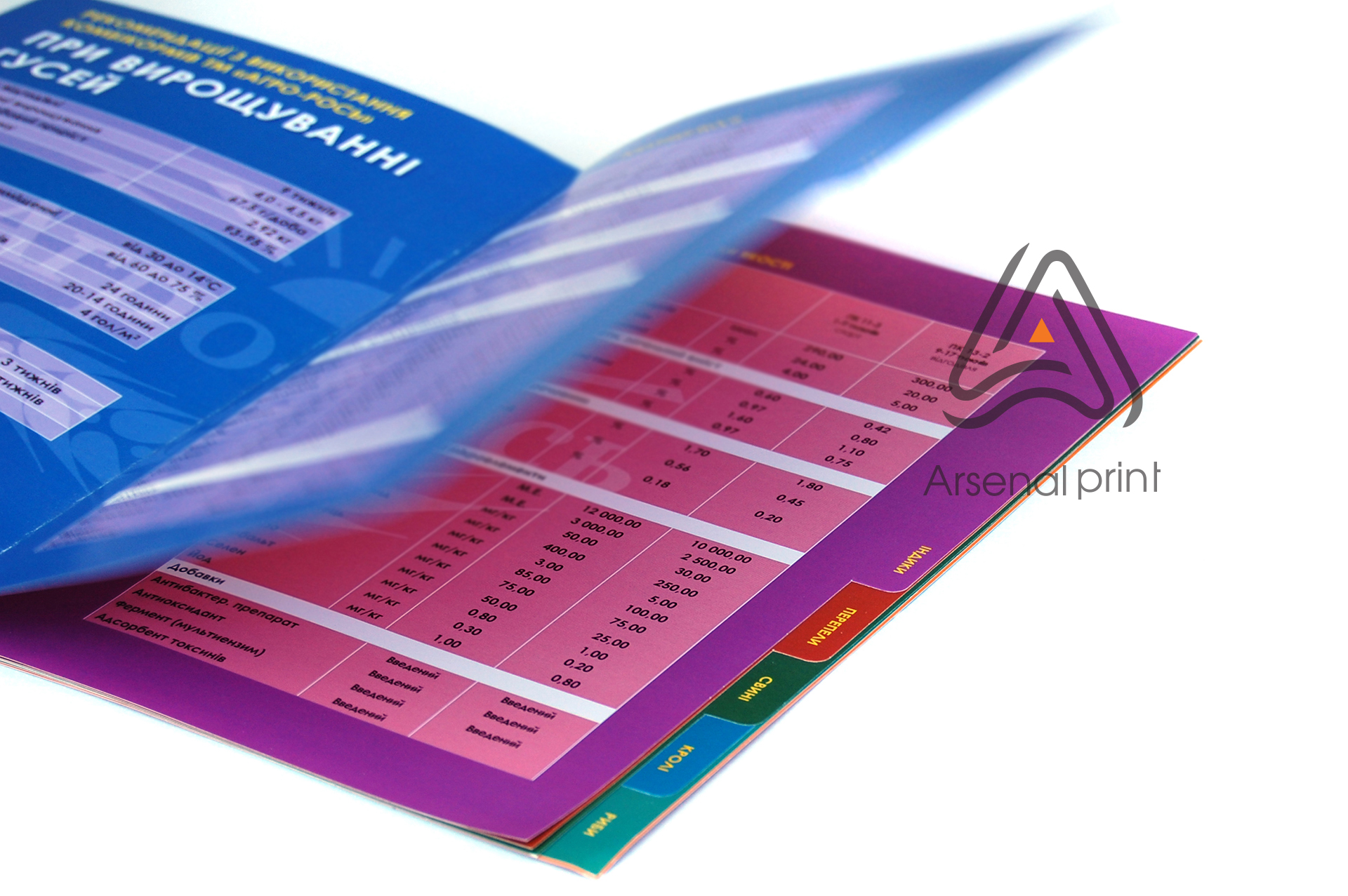 broshura rubriki visechka