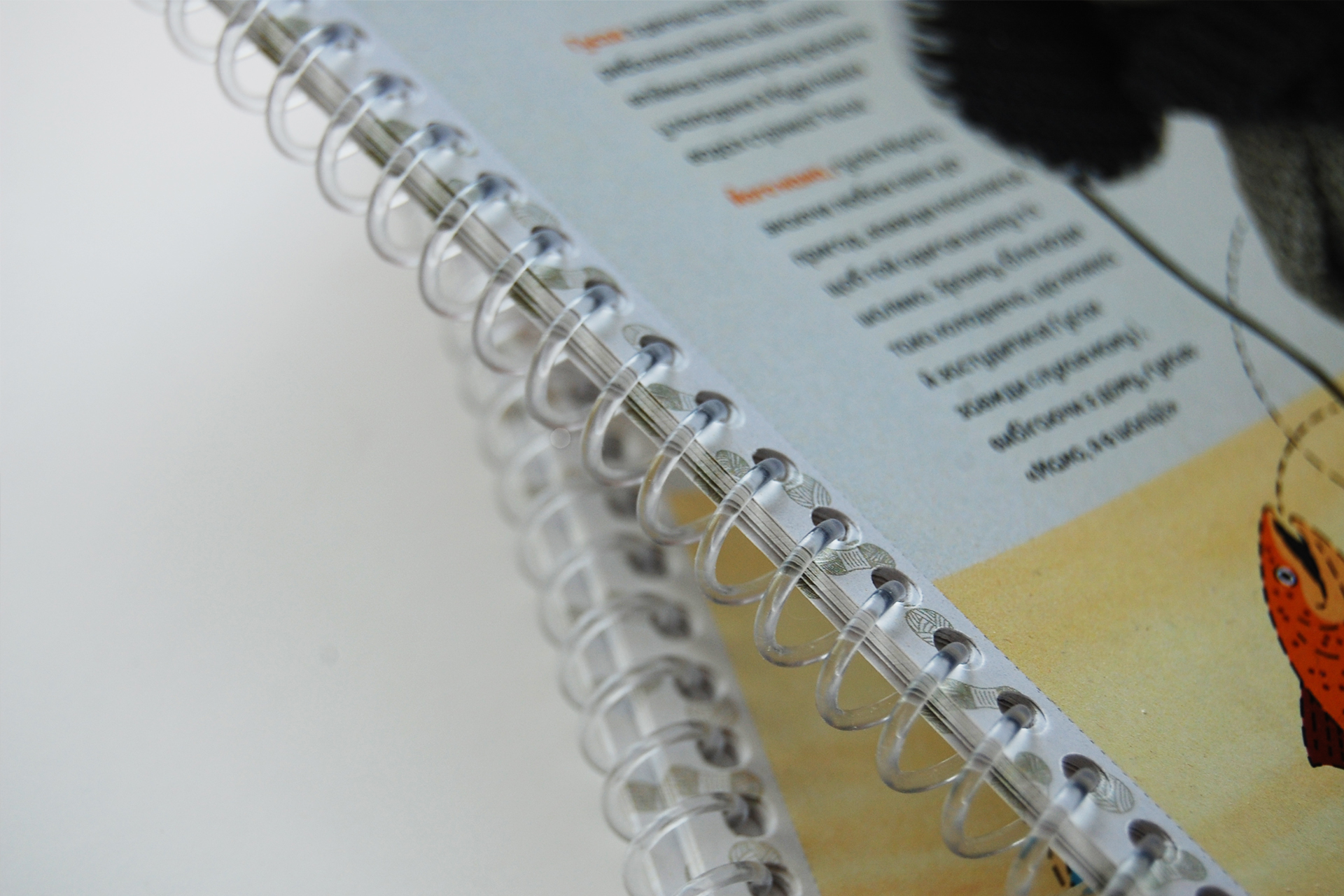 друк блокнотів з пластиковою спіралі