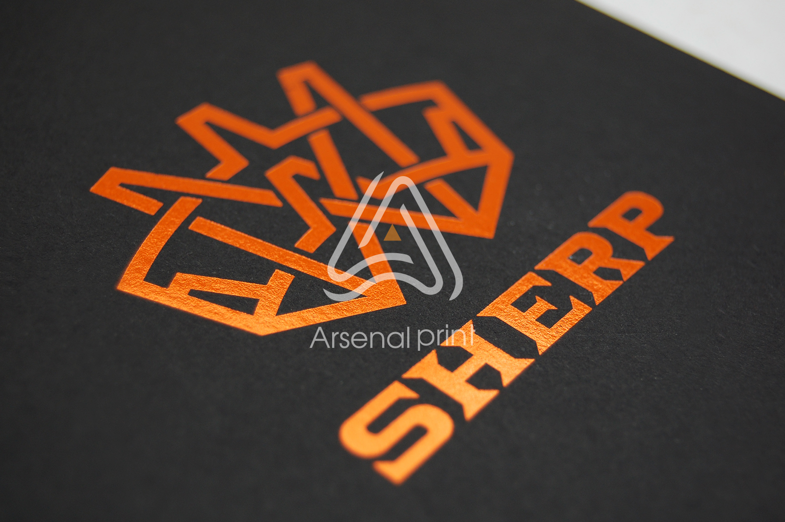 papka-tisneniye-logotipa