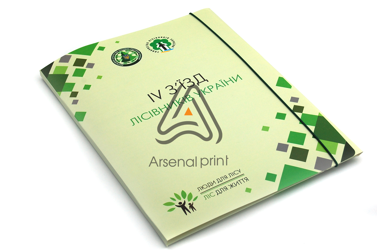 papka-kartonnaya s resinkoy