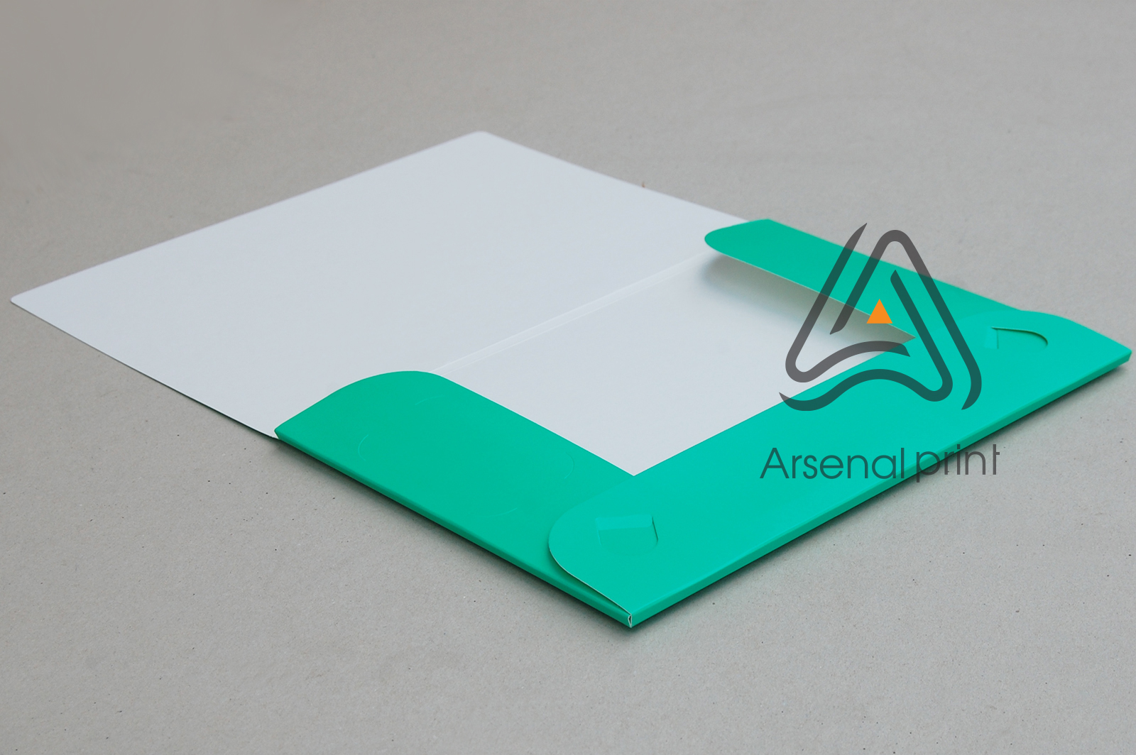 zakazat-pechat-papki