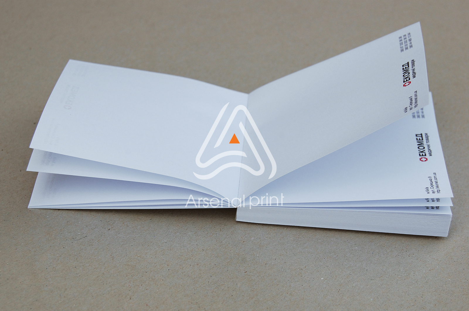 kubariki-s-logotipom