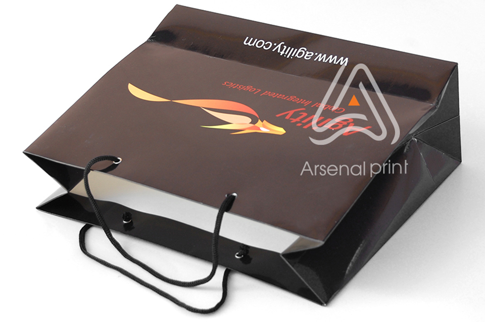 Картонные пакеты - Печать