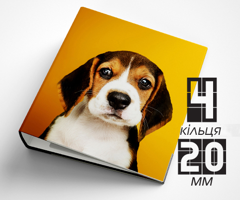 Папка на 4 кільця / — 20мм