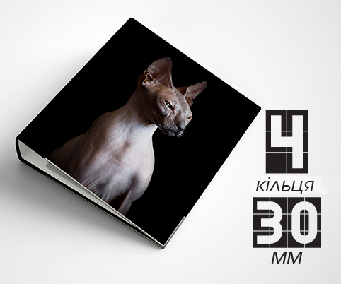 Папка на 4 кільця / — 30мм