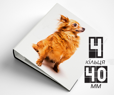 Папка на 4 кільця / — 40мм