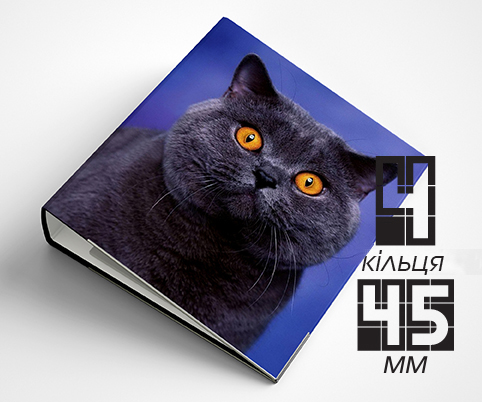 Папка на 4 кільця / — 45мм