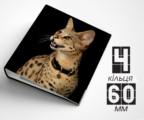 Папка на 4 кільця / — 60мм