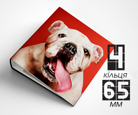 Папка на 4 кільця / — 65мм