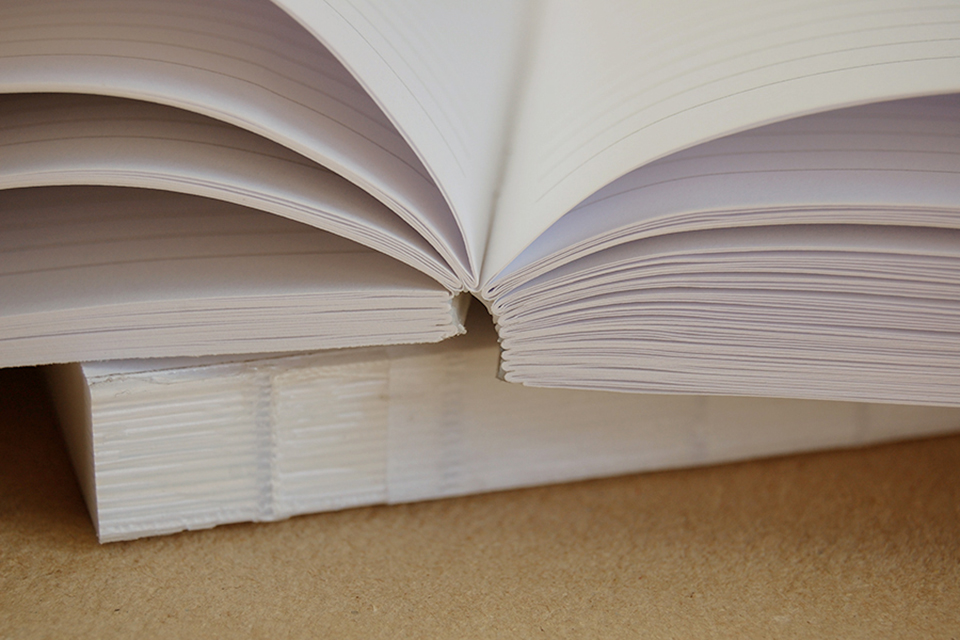 Продаж готових блоків для недатованого щоденника