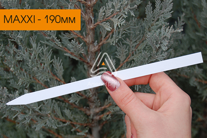 Блотери для парфумів - MAXXI