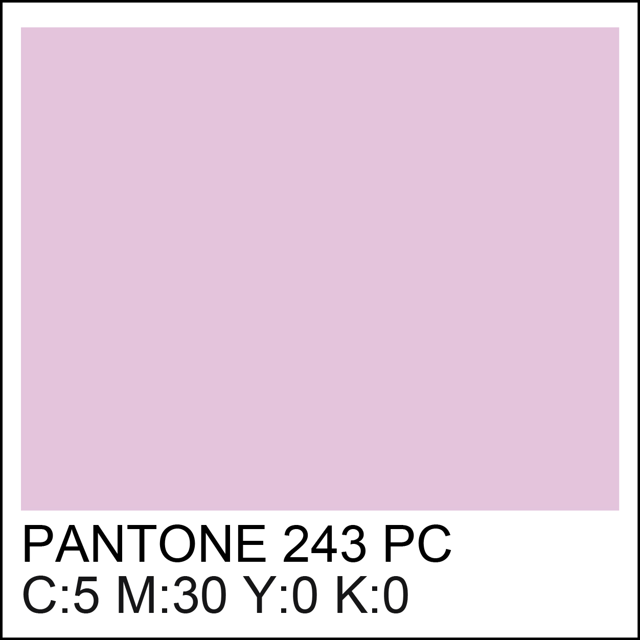 pantone-243
