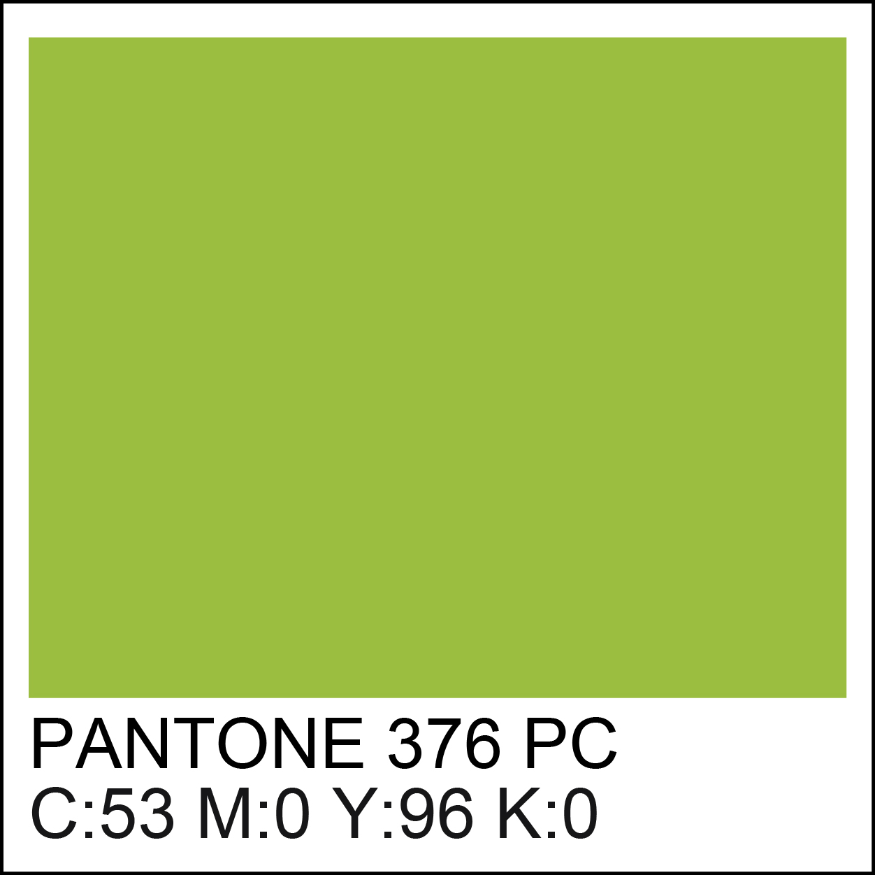 pantone-376