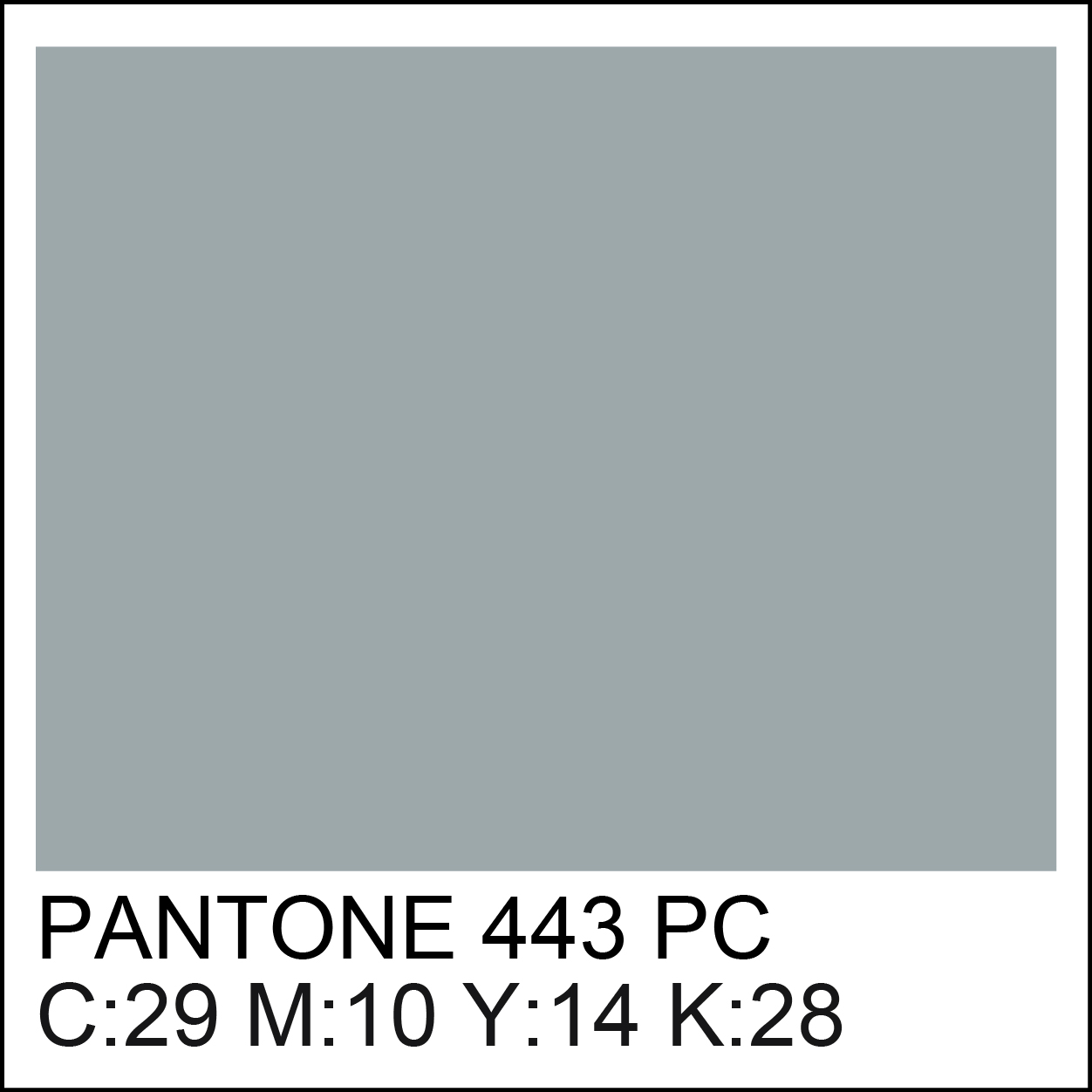 pantone-443