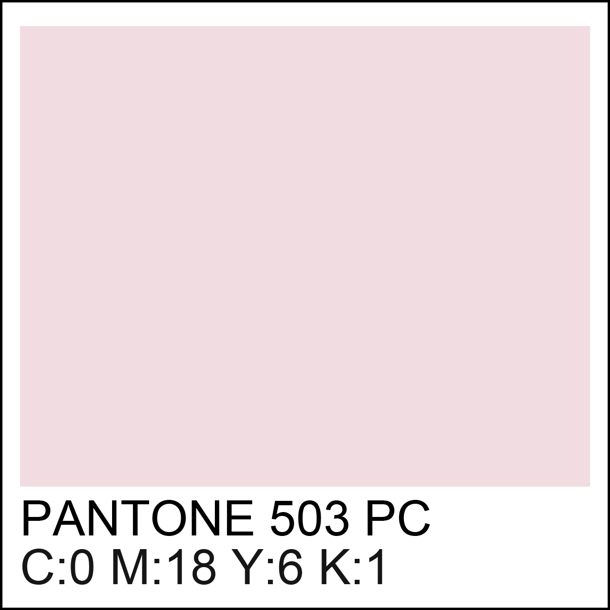 pantone-503