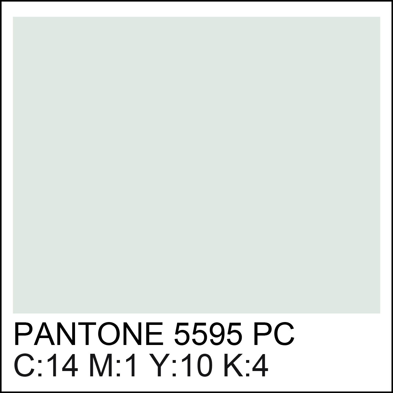 pantone-5595