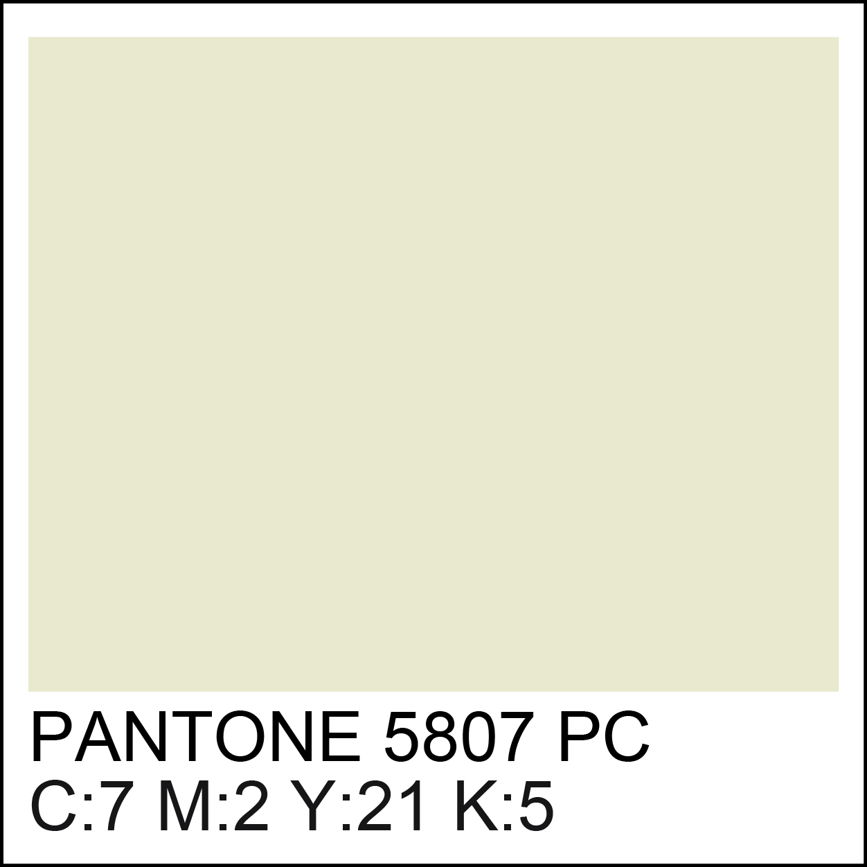 pantone-5807