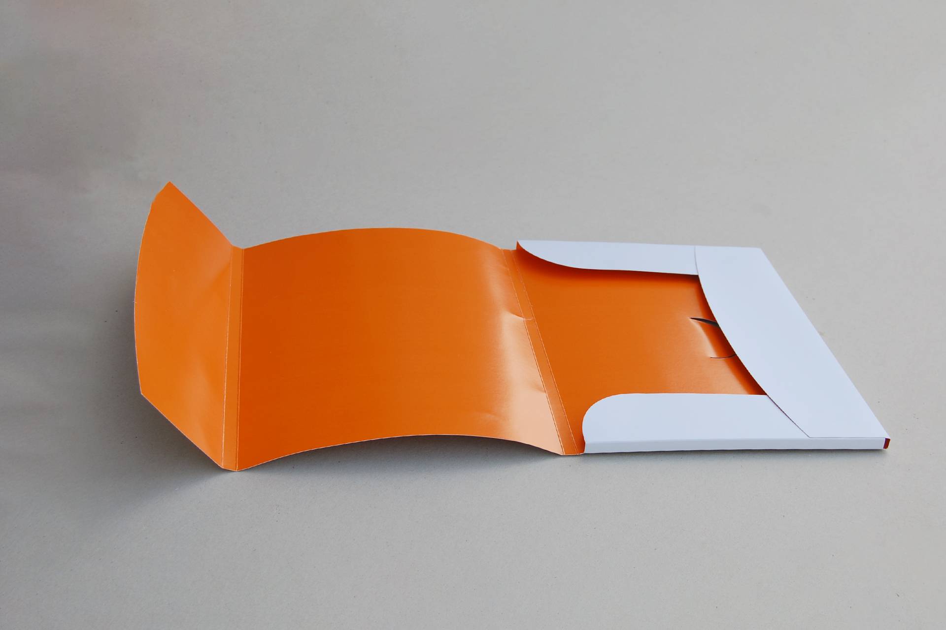 замовити друк картонних папок друк картонних папок