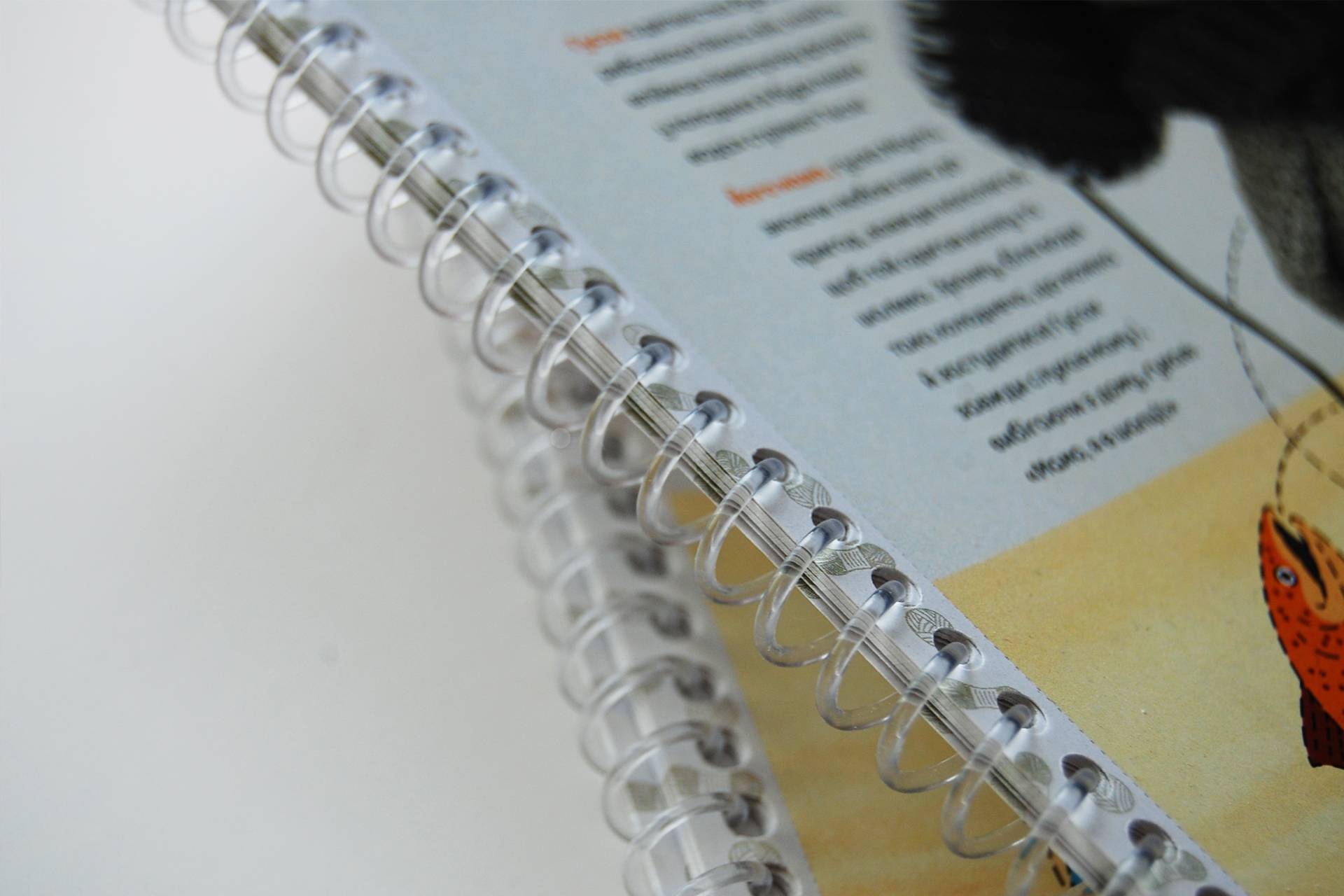 замовити друк блокнота друк блокнотів з пластиковою спіралі